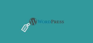 سئو سایت وردپرسی