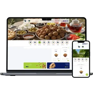 طراحی سایت خشکبار