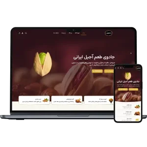 طراحی سایت فروشگاه آجیل و خشکبار